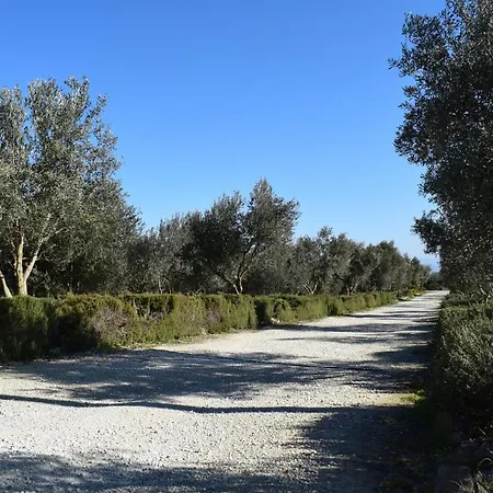Agriturismo Baglio Pollicarini Farm stay Pergusa